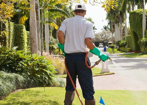 About Aragon GA Pest Control Pros